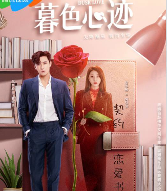 《暮色心迹》原著小说《戏精大小姐又翻车了》