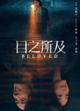 《目之所及》原著小说《盲目》